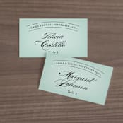 "Big City - Washington DC" - Place Cards in Mint Green by Hooray Creative - Front with Free Guest Printing