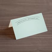 "Big City - Washington DC" - Place Cards in Mint Green by Hooray Creative - Blank front