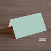 "Big City - Washington DC" - Place Cards in Mint Green by Hooray Creative - Folded Back of Card