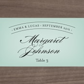 "Big City - Washington DC" - Place Cards in Mint Green by Hooray Creative - Detail