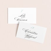 "Cordial Flourish" - Place Cards in Arctic by Olivia Raufman - Front with Free Guest Printing