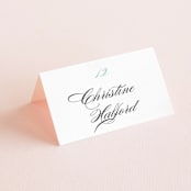 "Cordial Flourish" - Place Cards in Arctic by Olivia Raufman - Folded with Free Guest Printing