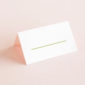 "float + celebrate" - Place Cards in Celery by Float Paperie - Blank front