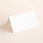 "Urban" - Place Cards in Onyx by Lori Wemple - Blank front
