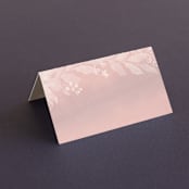 "Summer Bliss" - Place Cards in Blush by Grace Kreinbrink - Blank front