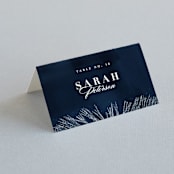 "Frosty chic" - Place Cards in Peacock by Creo Study - Folded with Free Guest Printing