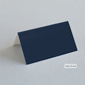 "Frosty chic" - Place Cards in Peacock by Creo Study - Folded Back of Card