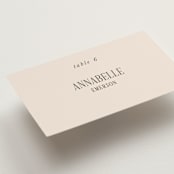 "Fero" - Place Cards in Blush by Pati Cascino - Detail