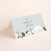 "Inverness" - Place Cards in Pistachio by Nicole Whiddon - Folded with Free Guest Printing