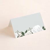 "Inverness" - Place Cards in Pistachio by Nicole Whiddon - Blank front