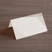 "Gossamer" - Place Cards in Sandstone by Kate Ahn - Blank front