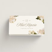 "Felicity" - Place Cards in Pearl by Leah Bisch - Folded with Free Guest Printing