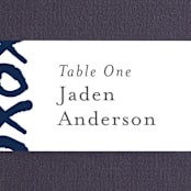 "Brushed Love" - Place Cards in Night Navy by Lisa Guerrero - Detail