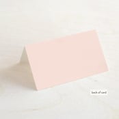 "Chic Gala" - Place Cards in Cotton Candy by Kimberly FitzSimons - Folded Back of Card