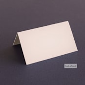 "Elegant Lace" - Place Cards in Blush by Hooray Creative - Folded Back of Card