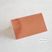 "Double Rainbow" - Place Cards in Cactus by Pink House Press - Folded Back of Card