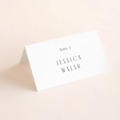 "Narrative" - Place Cards in Frost by Jennifer Wick - Folded with Free Guest Printing