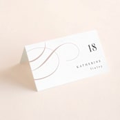 "Foundry" - Place Cards in Rose Quartz by Kristie Kern - Folded with Free Guest Printing