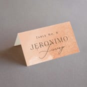 "Swept" - Place Cards in Blush by Snow and Ivy - Folded with Free Guest Printing