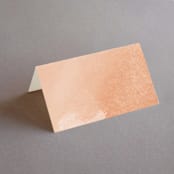 "Swept" - Place Cards in Blush by Snow and Ivy - Blank front