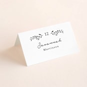 "Charleston" - Place Cards in Tuxedo by Susan Brown - Folded with Free Guest Printing