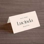 "SoHo" - Place Cards in Blush by Hudson meet Rose - Folded with Free Guest Printing