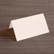 "SoHo" - Place Cards in Blush by Hudson meet Rose - Blank front