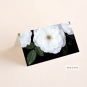 "Heirloom Roses" - Place Cards in Ebony by Jill Means - Folded Back of Card