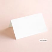 "Slate" - Place Cards in Bridal Veil by Up Up Creative - Folded Back of Card