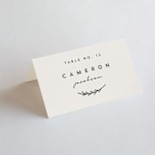 "Connect" - Place Cards in Almond by Brianne Larsen - Folded with Free Guest Printing