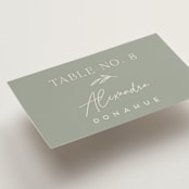 "Soft Arch" - Place Cards in Sage by Erica Krystek - Detail