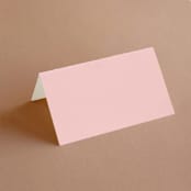 "modern tropics" - Place Cards in Blush by Baumbirdy - Blank front