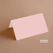 "modern tropics" - Place Cards in Blush by Baumbirdy - Folded Back of Card