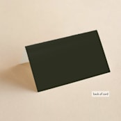 "Warner" - Place Cards in Emerald by Carrie ONeal - Folded Back of Card