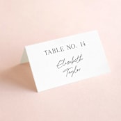 "Painted Trails" - Place Cards in Navy by Alethea and Ruth - Folded with Free Guest Printing