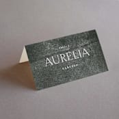 "Halcyon" - Place Cards in Dove by Olivia Kanaley Inman - Folded with Free Guest Printing