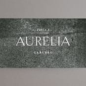 "Halcyon" - Place Cards in Dove by Olivia Kanaley Inman - Detail