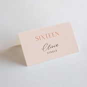 "ampersand names" - Place Cards in Carrot by Lori Wemple - Folded with Free Guest Printing