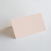 "ampersand names" - Place Cards in Carrot by Lori Wemple - Blank front