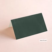 "Lakefront" - Place Cards in Natural by Robert and Stella - Folded Back of Card