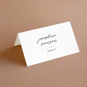 "Destination" - Place Cards in Mist by Lori Wemple - Folded with Free Guest Printing