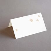 "Soar" - Place Cards in Cream by Phrosné Barwood - Blank front