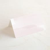 "Painterly" - Place Cards in Blush by Kelly Schmidt - Blank front