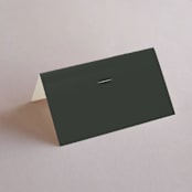 "Vow" - Place Cards in Tuxedo by Leah Bisch - Blank front