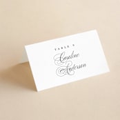 "Pearl" - Place Cards in Chantilly by Jessica Williams - Folded with Free Guest Printing