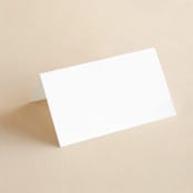 "Pearl" - Place Cards in Chantilly by Jessica Williams - Blank front