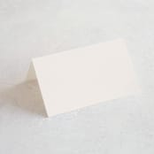 "The Loden" - Place Cards in Ivory by Kelly Schmidt - Blank front