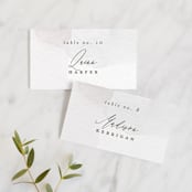 "Sloped" - Place Cards in Ecru by Everett Paper Goods - Front with Free Guest Printing