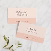 "Classical" - Place Cards in Blush by Michelle Taylor - Front with Free Guest Printing