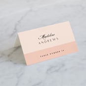 "Classical" - Place Cards in Blush by Michelle Taylor - Folded with Free Guest Printing